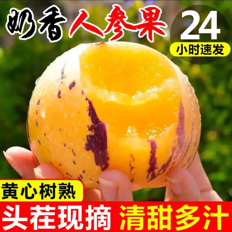 人参果大果当季新鲜孕妇水果现摘低糖无籽黄肉人生果清甜整箱包邮