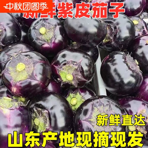 现摘大茄子新鲜5斤蔬菜圆茄子