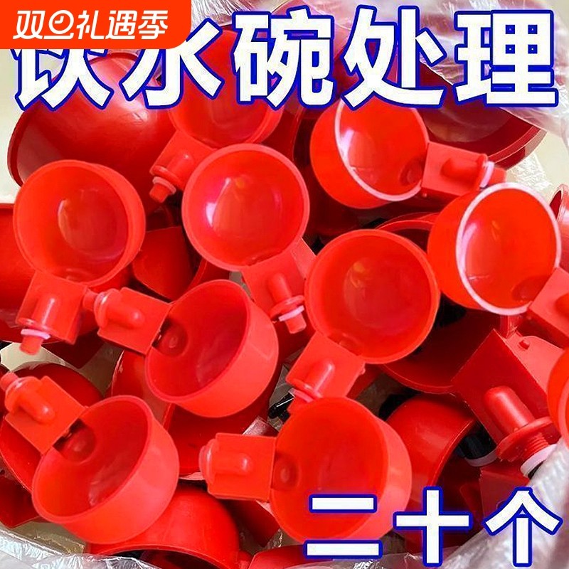 大号家禽饮水器养殖水桶新款喂鸡自动饮水器鸡鸭鸽子自动饮水碗