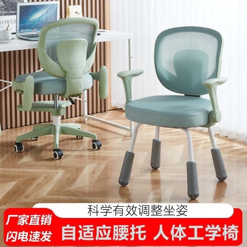 学习椅子中小学生写字专用凳子儿童书桌可升降调节靠背座椅电脑椅