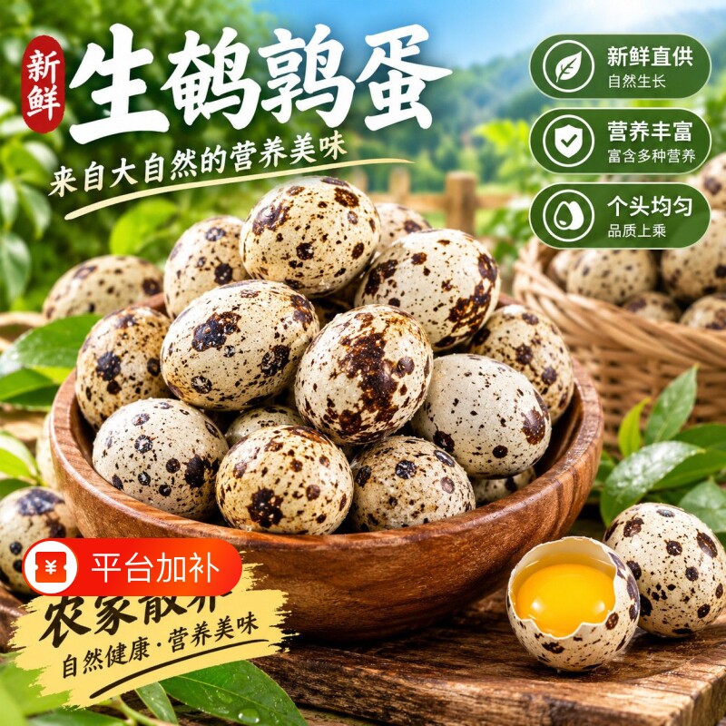 农家杂粮喂养新鲜生鹌鹑蛋多种吃法口感细腻整箱发货批发包邮农场