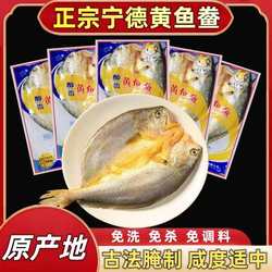 5条霞浦特产免杀脱脂大黄鱼鲞海鲜非干货黄花鱼海鱼新鲜冷冻整箱
