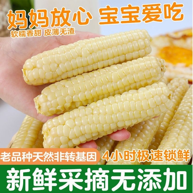 云南西双版纳拇指玉米新鲜糯玉米宝宝孕妇早餐香甜即食老品种传统