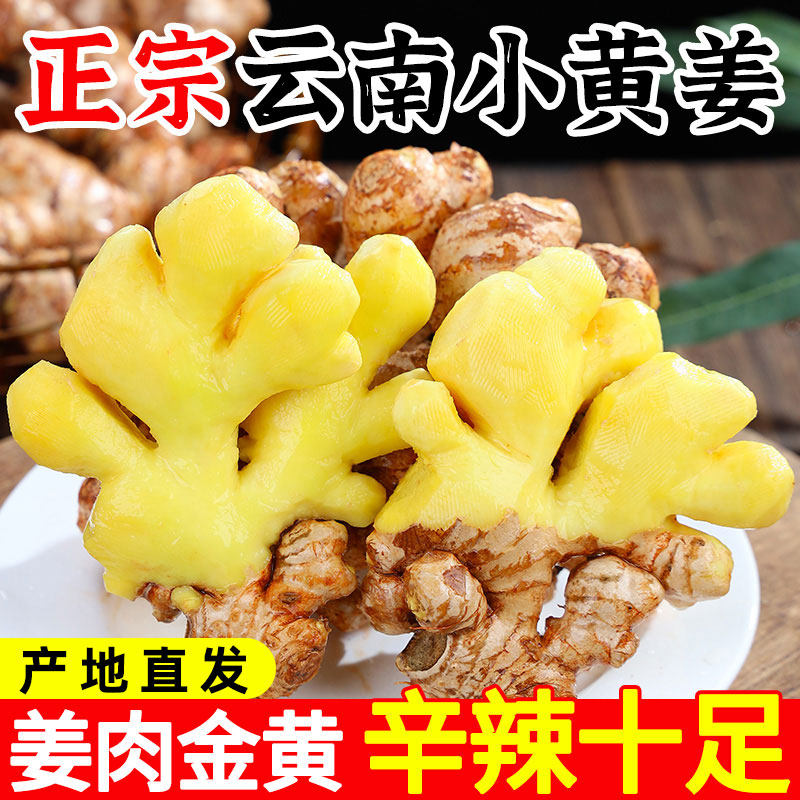 新鲜云南小黄姜10斤新鲜生姜老姜现挖高山沙姜老嫩姜土姜蔬菜,水产肉类/新鲜蔬果/熟食,生姜/南姜,淘宝优惠券,粉丝福利购,淘宝优惠卷