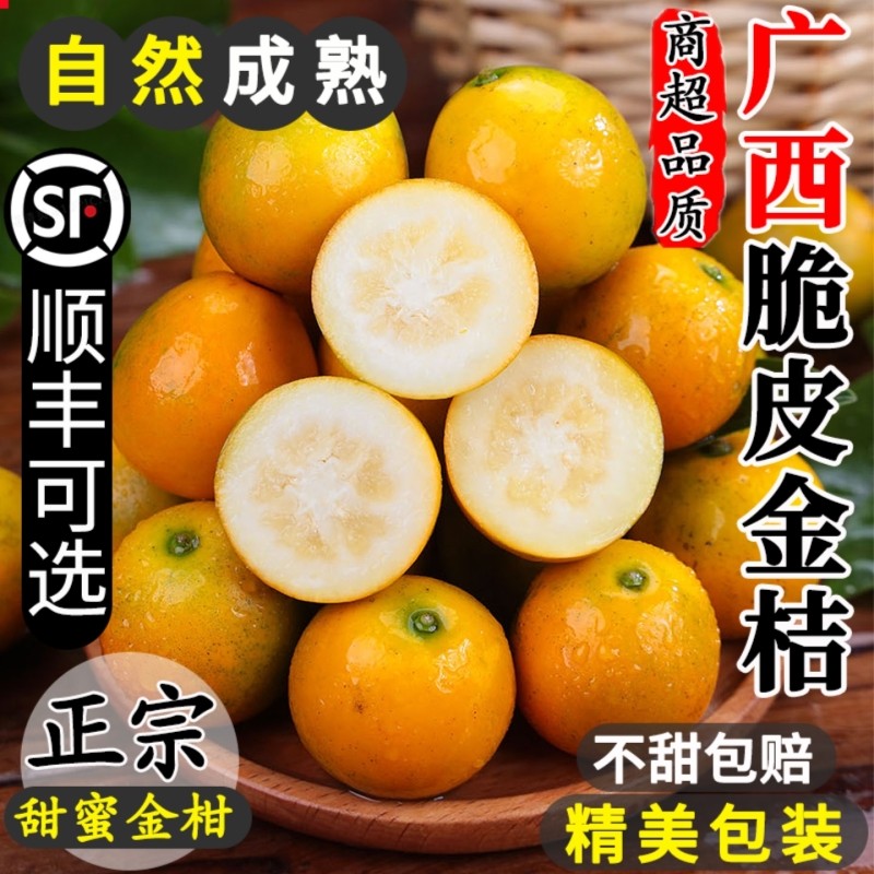 广西融安脆皮金桔鲜果5斤小金橘子应当季新鲜水果蜜金柑整箱包邮