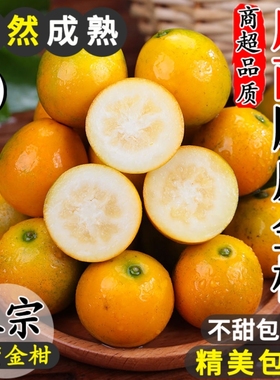 广西融安脆皮金桔鲜果5斤小金橘子应当季新鲜水果蜜金柑整箱包邮