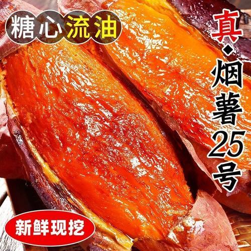 烟薯25号现挖甜蜜流油