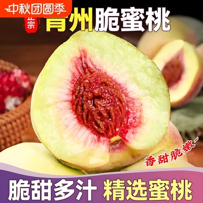 青州蜜桃脆甜桃子新鲜冬雪蜜桃水果青毛桃蜜桃山东水蜜桃当季