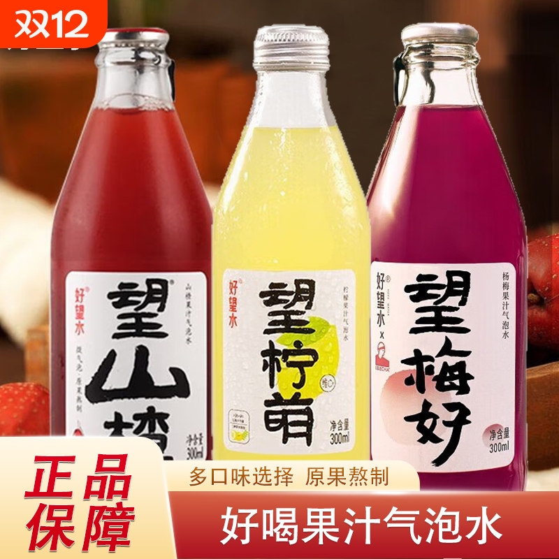 好望水望山楂柠檬杨梅果汁气泡水碳酸饮料解腻果味饮料能量