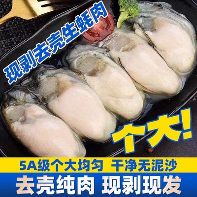 新鲜乳山生蚝肉现剥鲜活冷冻牡蛎纯肉无壳500g海鲜水产海蛎子