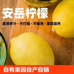 正宗安岳黄柠檬应季水果整箱批发皮薄多汁奶茶店一级