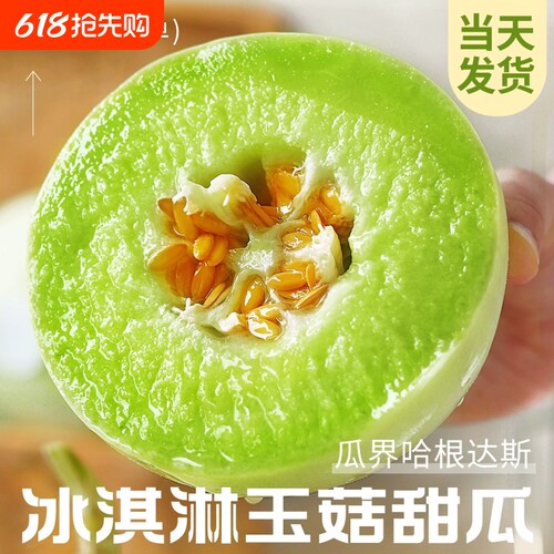 正宗玉菇甜瓜新鲜水果整箱包邮应当季蜜瓜香瓜冰淇淋脆甜斤白瓜5