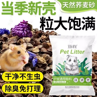 荞麦砂仓鼠夏季垫料金丝熊大匠神彩除臭透气无尘尿浴沙干花造景