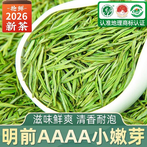 安吉白茶2026新茶特级5A茶叶绿茶