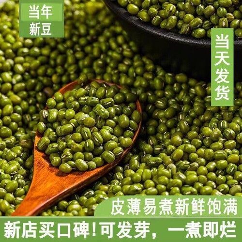 现货绿豆新货价农家五谷杂粮绿豆汤绿豆粥绿豆糕解暑薄皮新鲜