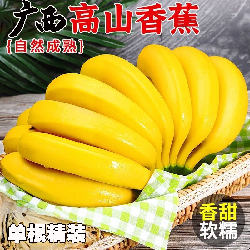 广西高山甜香蕉新鲜当季水果口感软糯香甜不催熟非云南大芭蕉现摘