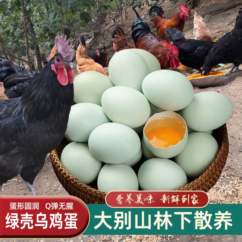 绿壳土鸡蛋农村散养谷物蛋乌鸡蛋