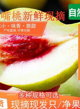 鹰嘴桃现摘现发脆甜多汁
