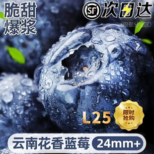 云南花香蓝莓新鲜水果当季大果现摘L25高山孕妇整箱顺丰包邮一颗