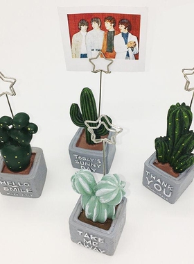 小夹子个性绿植留言夹照片夹标签举牌支架摆件名片办公仙人掌复古