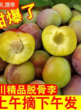 四川茵红李5斤脆甜|超1000次加购
