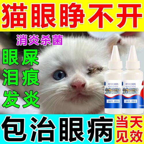 猫咪眼睛发炎流泪眼药水红肿流脓消炎去泪痕滴眼液眼屎多宠物猫狗