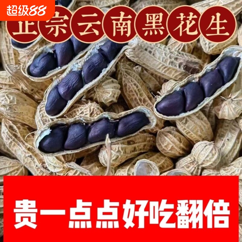 富硒黑花生带壳2024云南普洱种子籽晒干生熟黑皮黑花生米大粒好吃