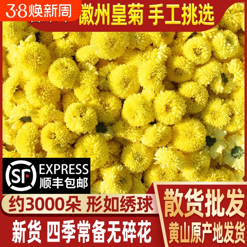 菊花茶特黄山徽州皇菊无硫散装黄贡菊婺源皇菊级大黄菊花枸杞茶