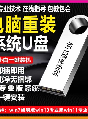 系统U盘win10专业版win11安装电脑台式机PE启动优盘重装高速纯净