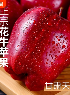 正宗甘肃天水花牛苹果水果10斤当季糖心粉面丑年货节应季大果现摘