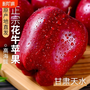 正宗甘肃天水花牛苹果水果10斤当季 大果现摘 糖心粉面丑年货节应季