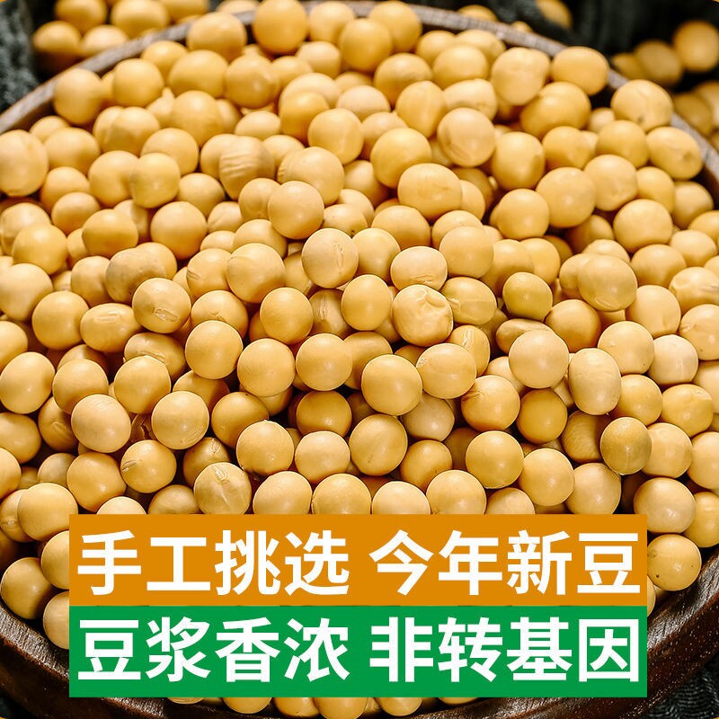 新货东北黄豆 新鲜大豆可发芽大豆子非转基因打豆浆原料营养早餐