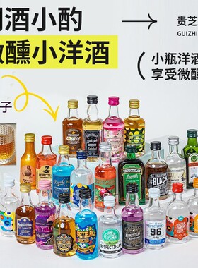 贵DIY微醺套装正品小洋酒威士忌基酒便利店同款鸡尾酒小酒瓶装