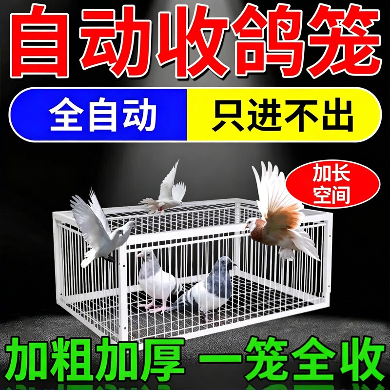 新款天落笼鸽子笼笼只进不出鸽神器收鸽子鸡笼活络门自动捕捉翻转 - 实物图