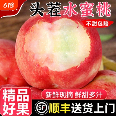 【产地直发】品质精选脆甜多汁