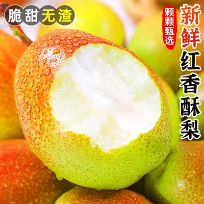 正宗红香酥梨新鲜应季水果时令现摘当季梨子脆甜香梨薄皮多汁整箱