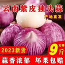 果王 2024新云南独头蒜大蒜头新鲜紫皮独蒜湿辣干蒜5斤蔬菜当季