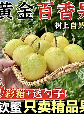 广西黄金百香果钦蜜9号果现摘新鲜水果当季纯甜无酸黄金果饮料