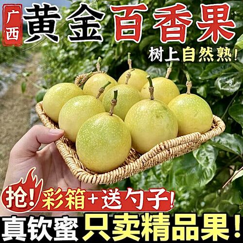 广西黄金百香果钦蜜9号果现摘新鲜水果当季纯甜无酸黄金果饮料