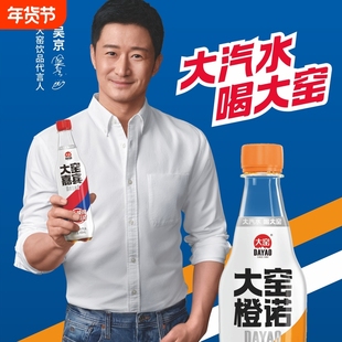 吴京大窑汽水碳酸饮料果汁气泡水嘉宾橙诺450ml*15瓶整箱荔枝果味