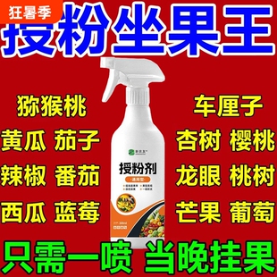 授粉药坐果灵瓜果蔬菜果树防落素叶面肥通用精座果灵剂西瓜葡萄