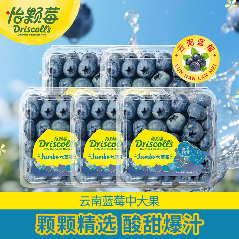 怡颗莓云南蓝莓新鲜水果中果/大果125g脆甜可食用当季浆果送达