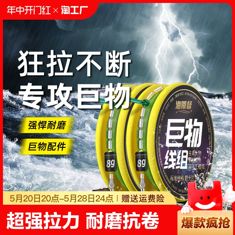 大物线组鱼线主线组超强拉力正品鲢鳙草鳊翘线组成品溪流巨物加固