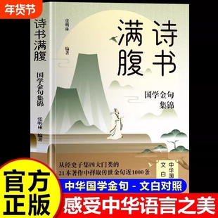诗书满腹国学金句集锦当白话文遇见古诗文古译高情商话术的语言充满文化底蕴告别词穷学会的提升之道正版书籍经典有诗诗词清雅表达