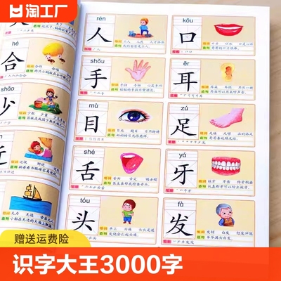 识字书幼儿认字识字大王3000字幼儿园儿童大班学前班宝宝早教启蒙教材全套幼小衔接一年级看图识字书籍象形识字卡片神器认字书有声