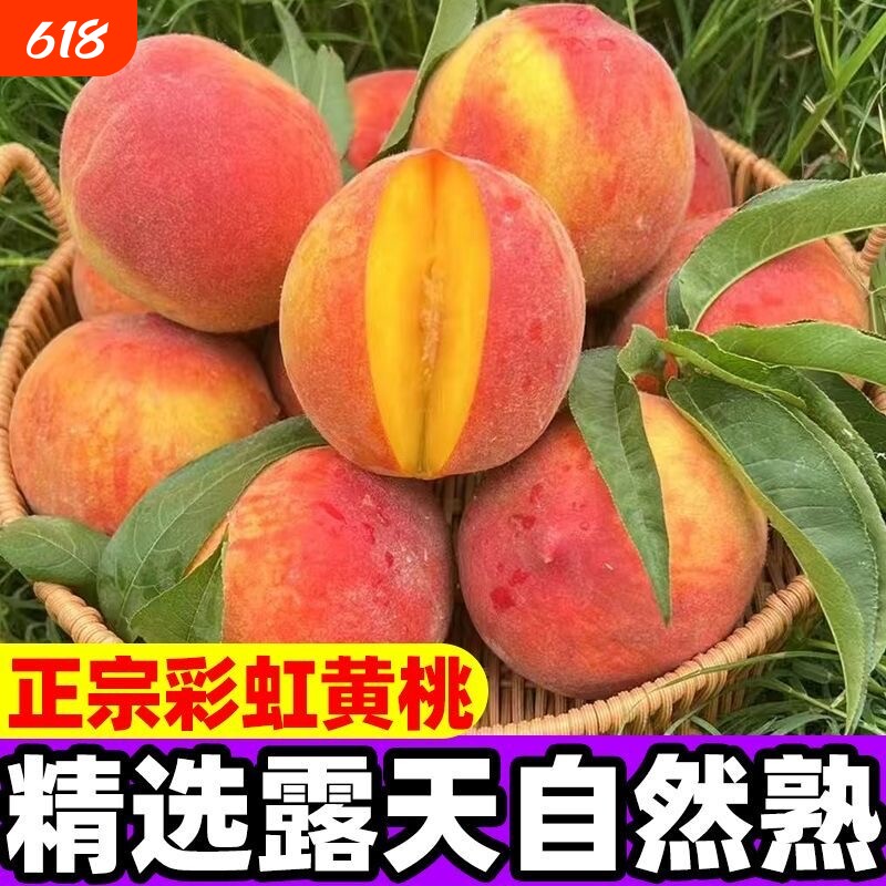 彩虹黄桃新鲜应季露天水果桃子水密黄金蜜软脆毛蟠桃现摘现发