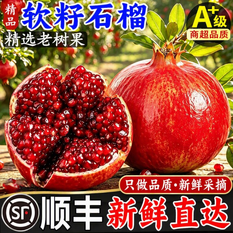 中秋突尼斯软籽石榴现摘新鲜水果当季整箱包邮四川会理石榴大果