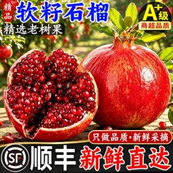 中秋突尼斯软籽石榴现摘新鲜水果当季整箱包邮四川会理石榴大果