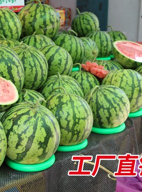 加厚西瓜垫圈水果店垫圈