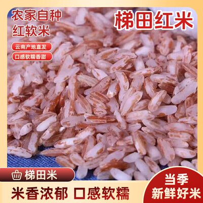 云南哈尼梯田红米软米当季新货红米粗粮五谷杂粮米饭食用新鲜袋装